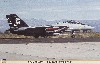 F-14 TOMCAT A VF-14 TOPHATTERS CAG