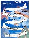 ANTONOV AN-12 CUBS IN THE AIR  - HI DETAIL DECAL -