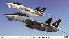 F-14 TOMCAT B VF-11 RED RIPPERS